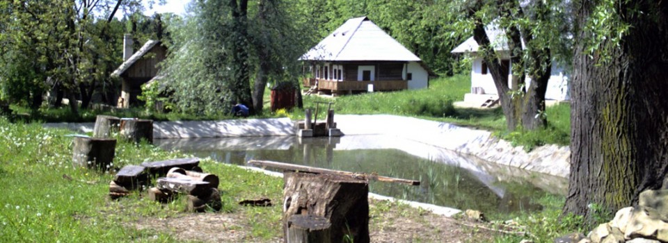 Prima pagina